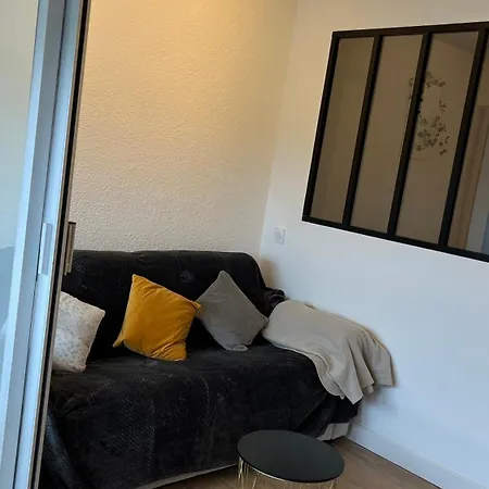 F2 Free Parking 7min To Airport Apartment Carnon-Plage